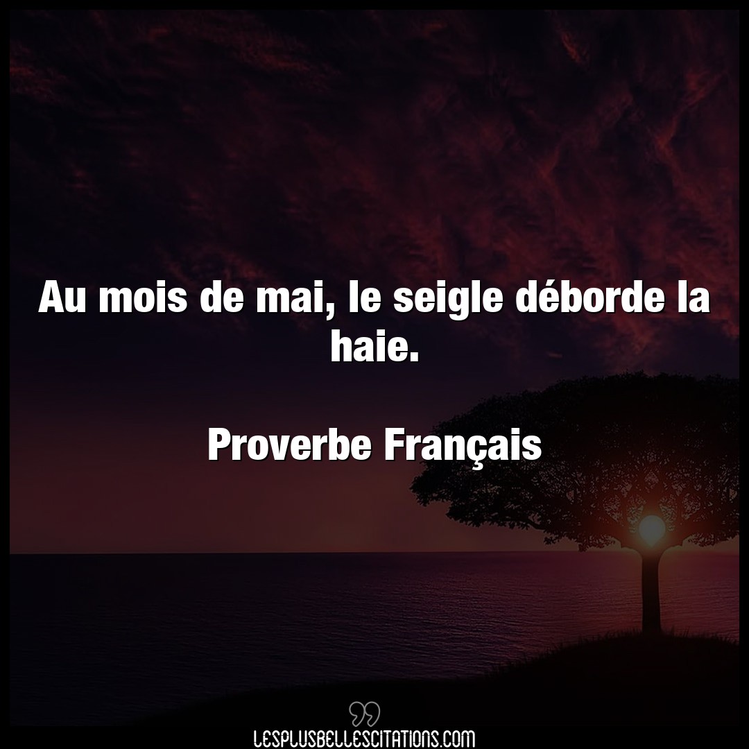 Citation Proverbe Francais Francais Au Mois De Mai Le Seigle Deb