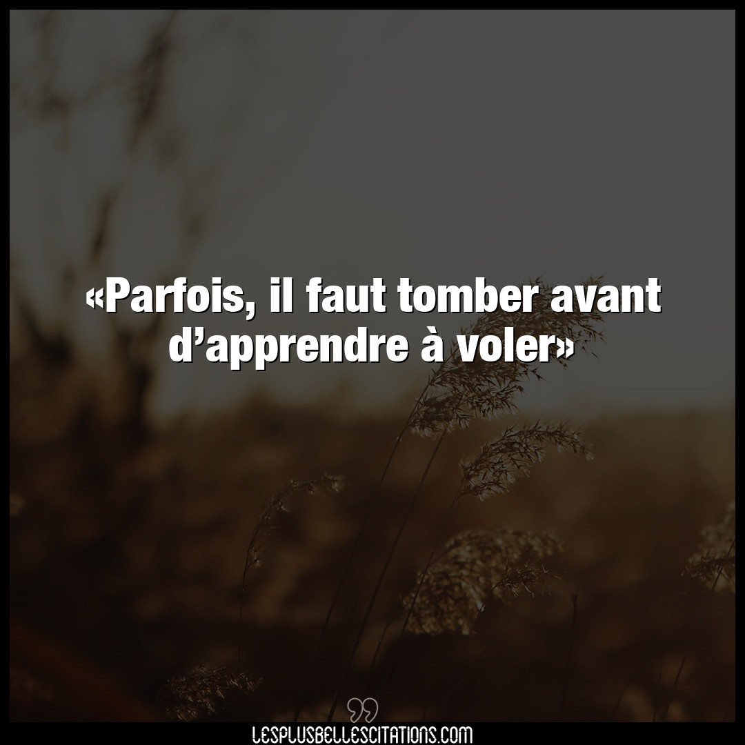 Citation Anonyme Apprendre Avant D Apprendre A Voler