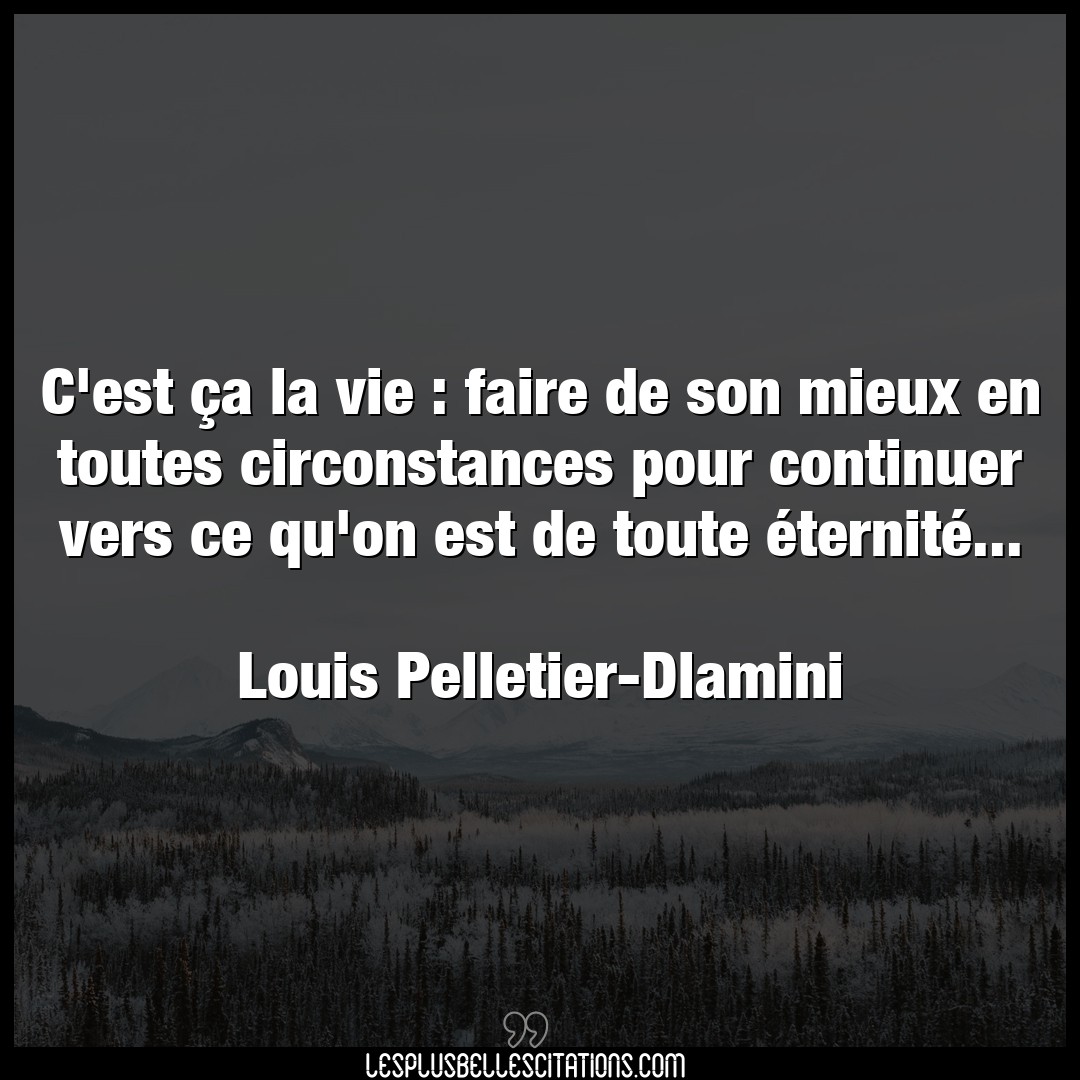 Citation Louis Pelletier Dlamini Faire C Est Ca La Vie Faire De Son Mieux En Tout