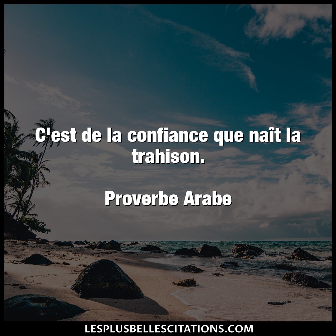 Citation Proverbe arabe Confiance : C'est de la confiance que naî...