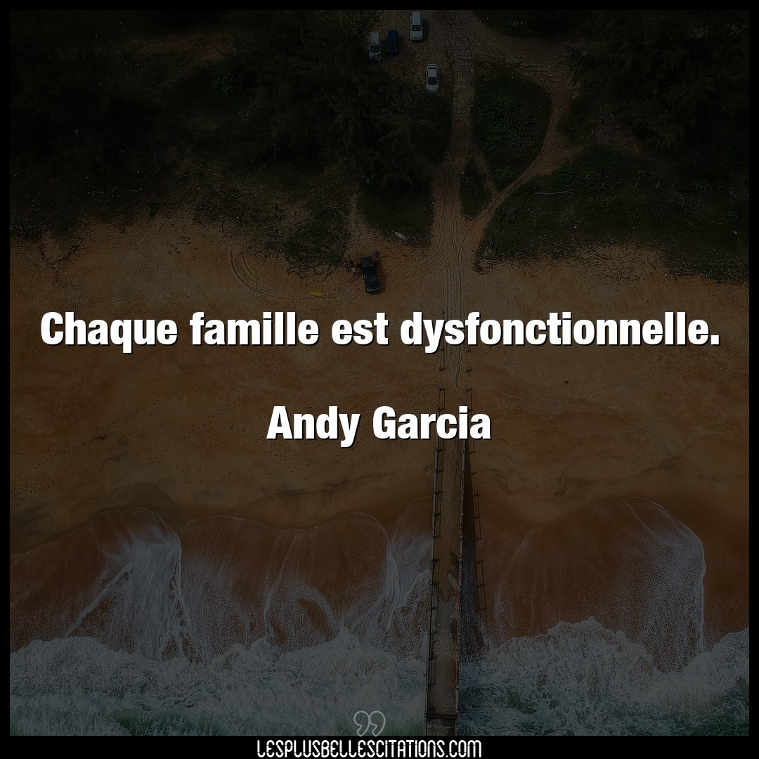 Chaque famille est dysfonctionnelle.

Andy