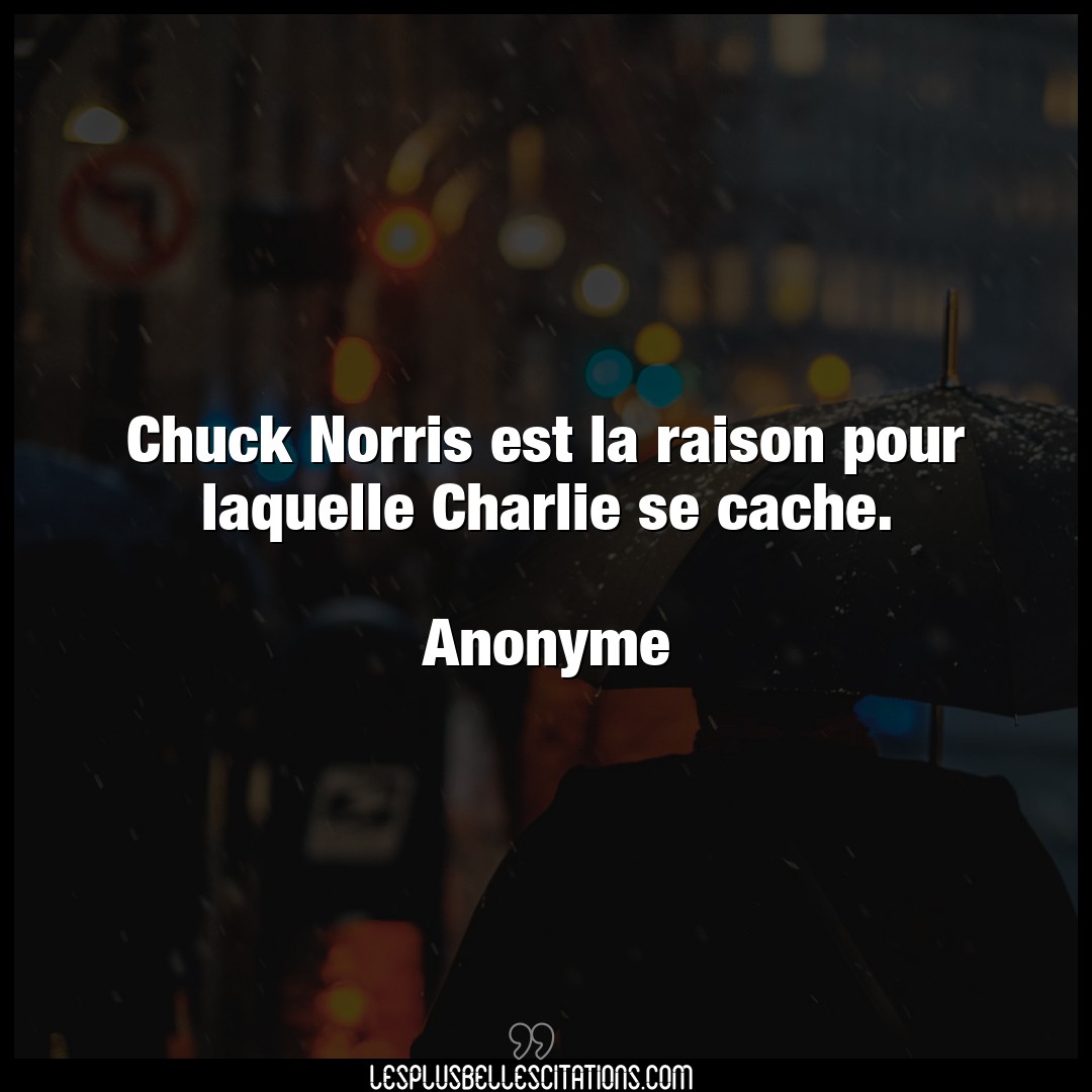 Chuck Norris est la raison pour laquelle Char