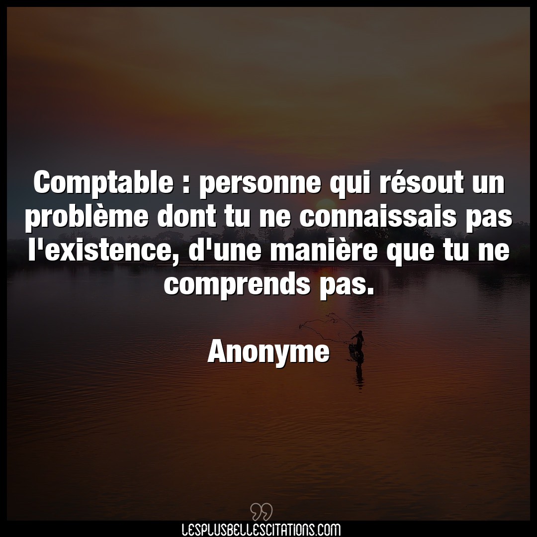 Citation Anonyme Comprends Comptable Personne Qui Resout Un Probleme