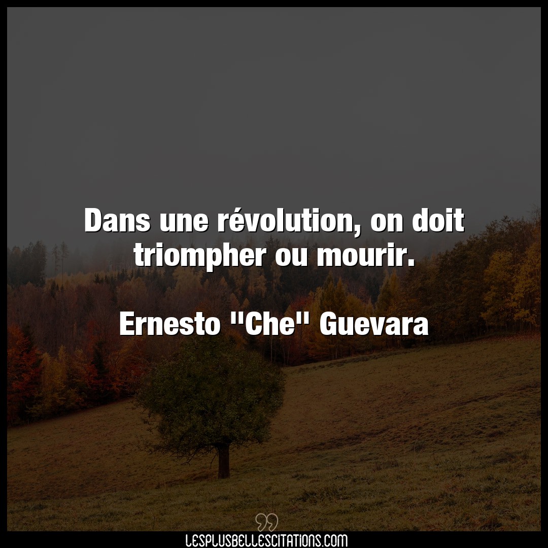 Citation Ernesto Che Guevara Doit Dans Une Revolution On Doit Triompher Ou Mo