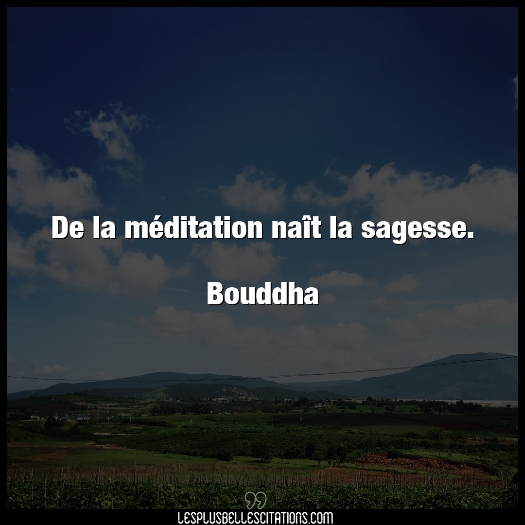 De la méditation naît la sagesse.

Bouddh