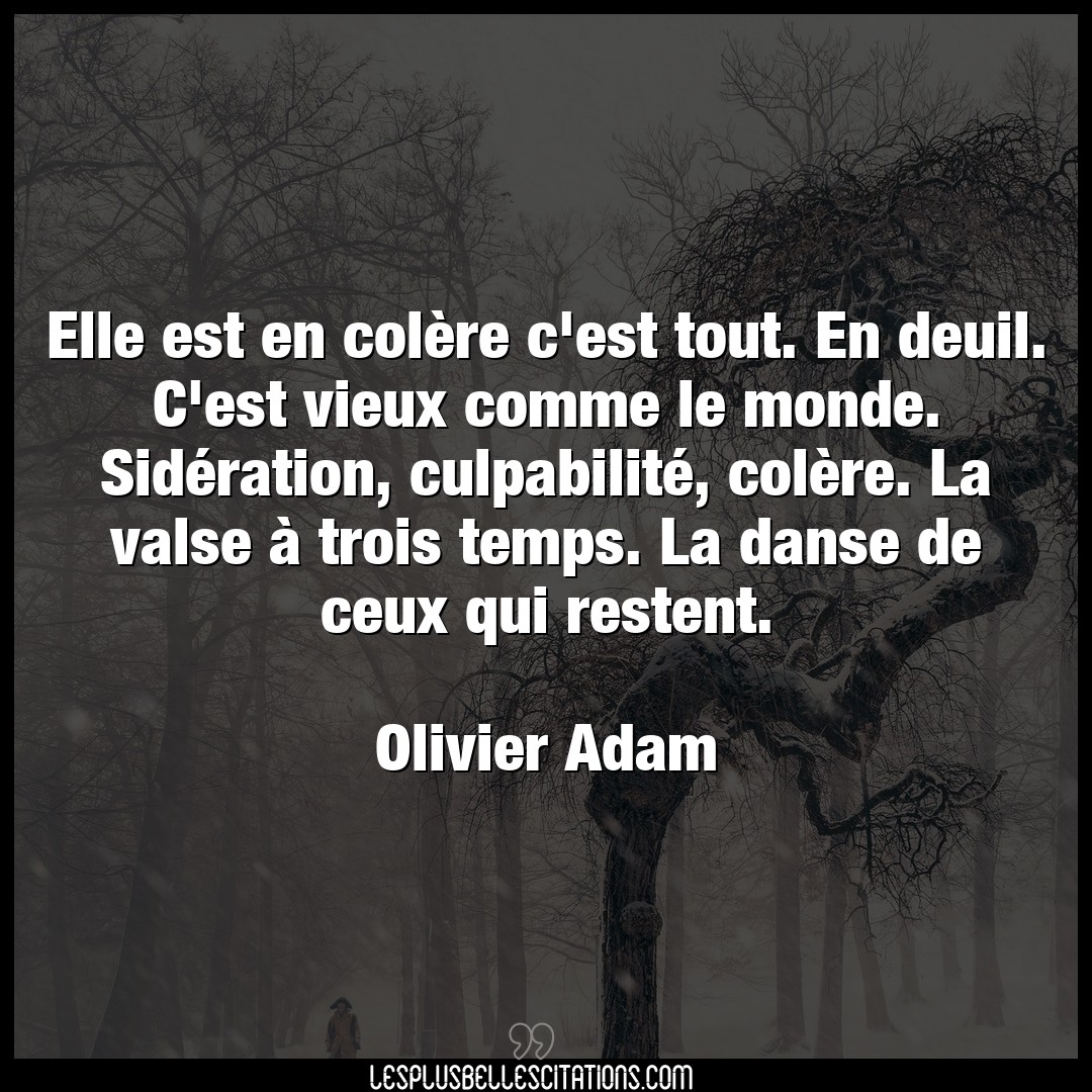 Citation Olivier Adam Colere Elle Est En Colere C Est Tout En Deuil C E