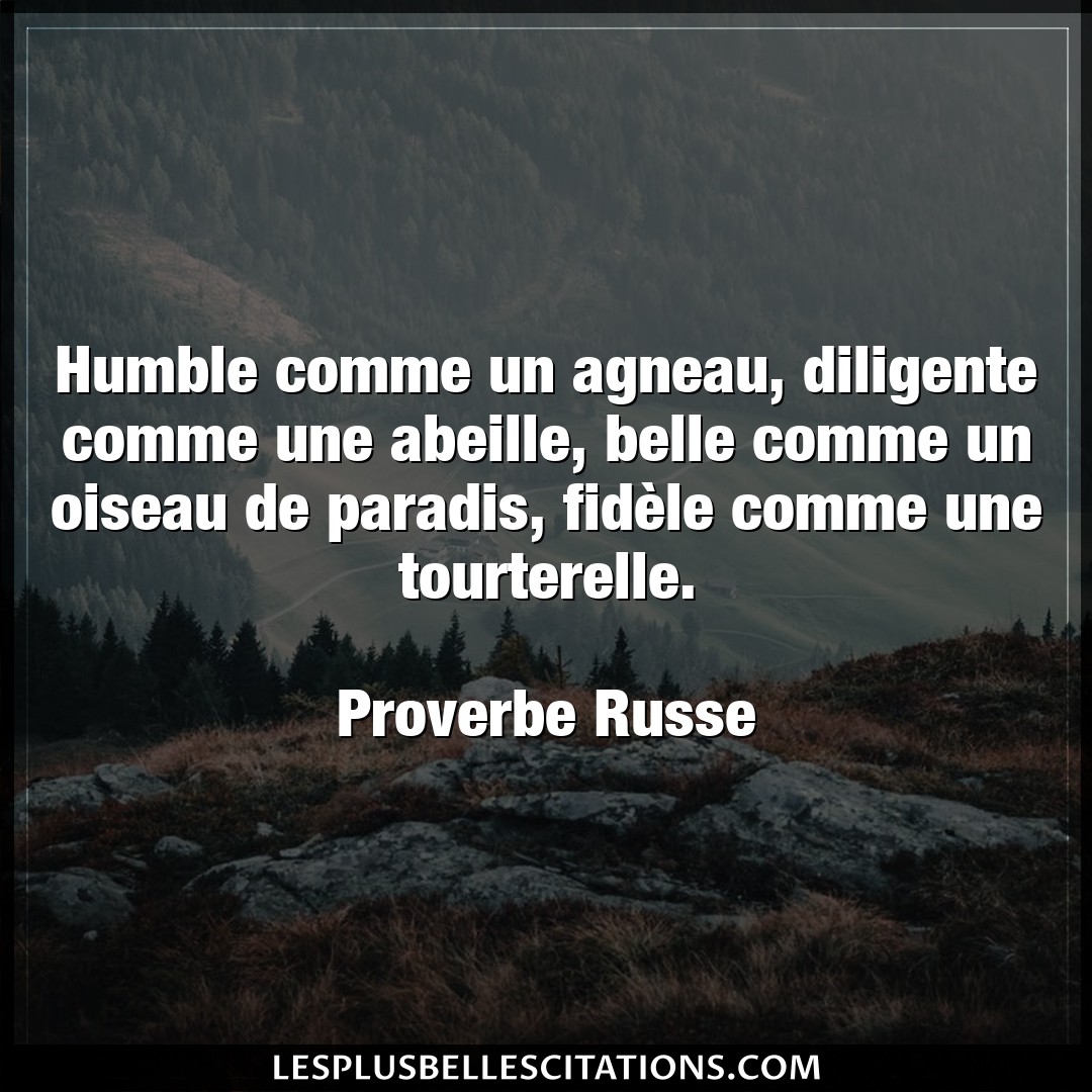 Citation Proverbe Russe Belle Humble Comme Un Agneau Dilige