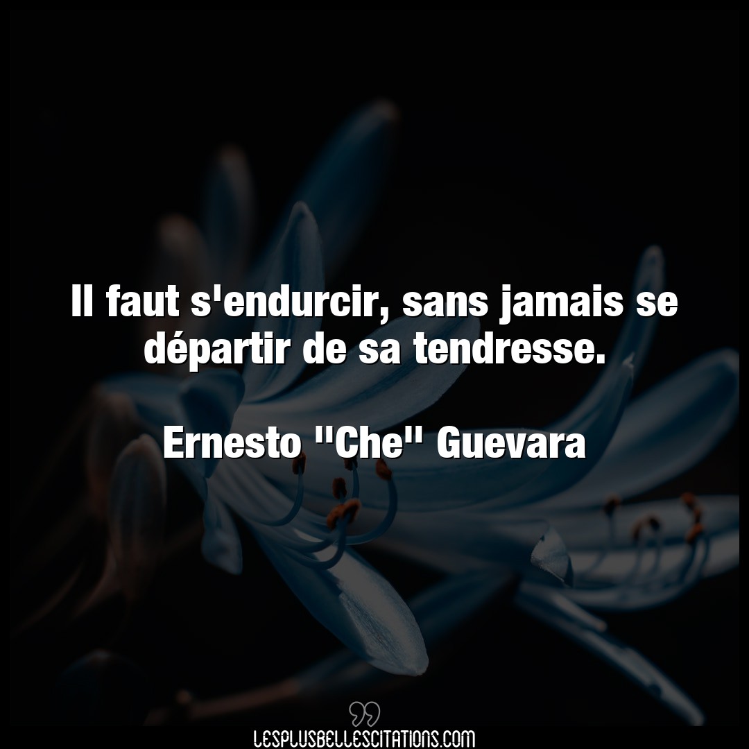 Citation Ernesto Che Guevara Jamais Il Faut S Endurcir Sans Jamais Se Departir