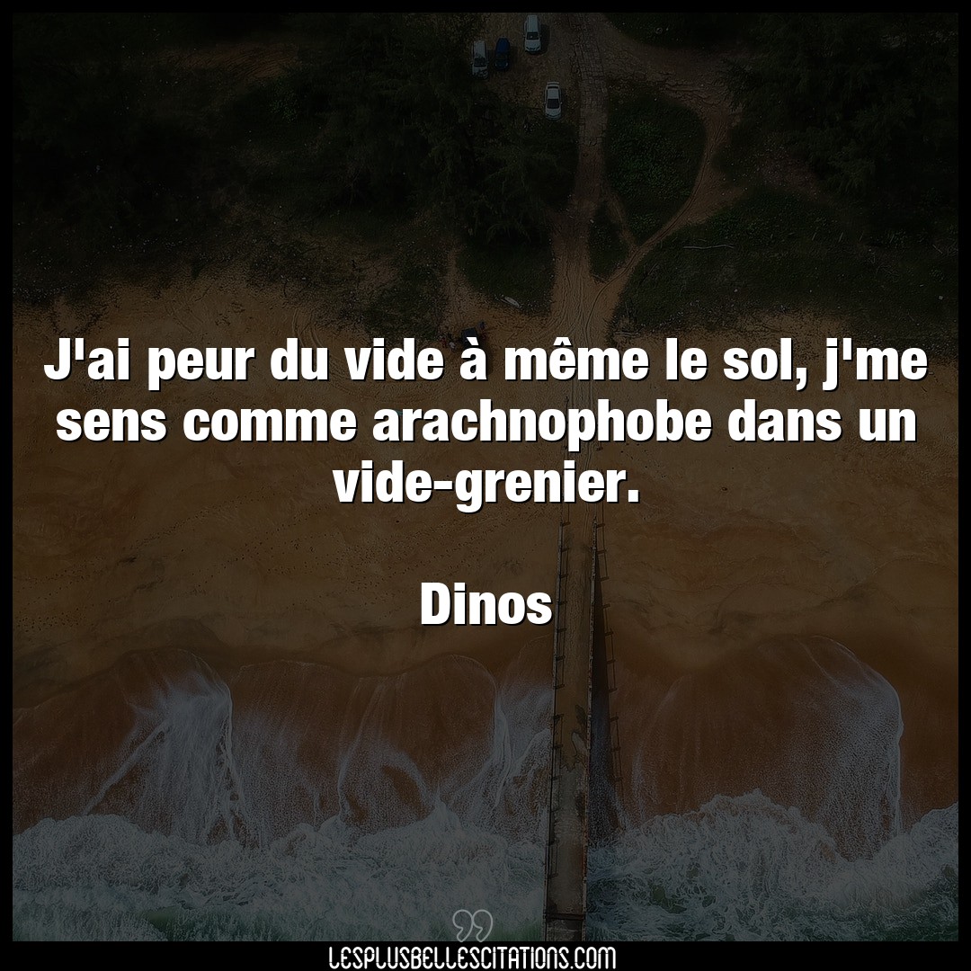 Citation Dinos Peur J Ai Peur Du Vide A Meme Le Sol J Me Sens