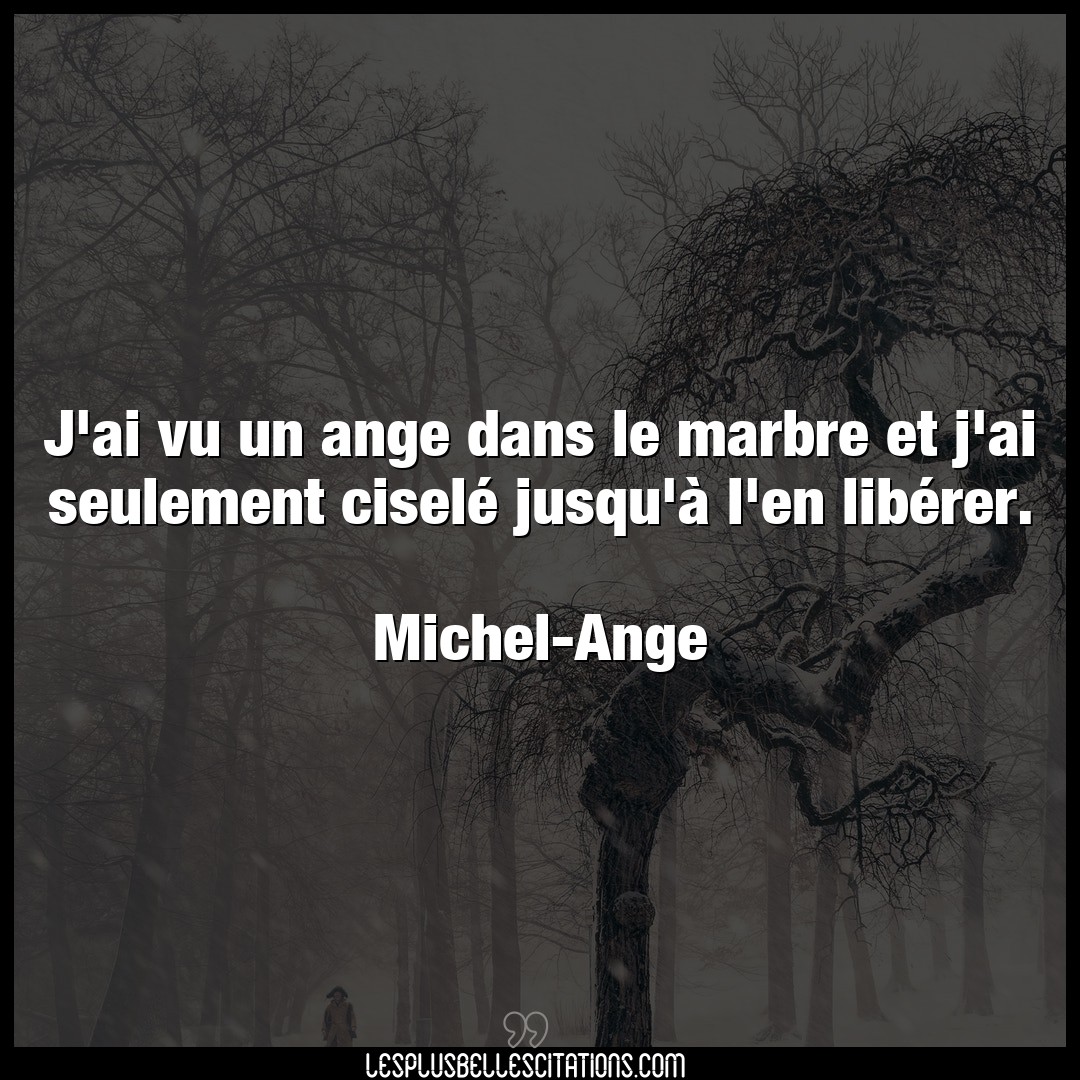 Citation Michel Ange Ange J Ai Vu Un Ange Dans Le Marbre Et J Ai Seulem