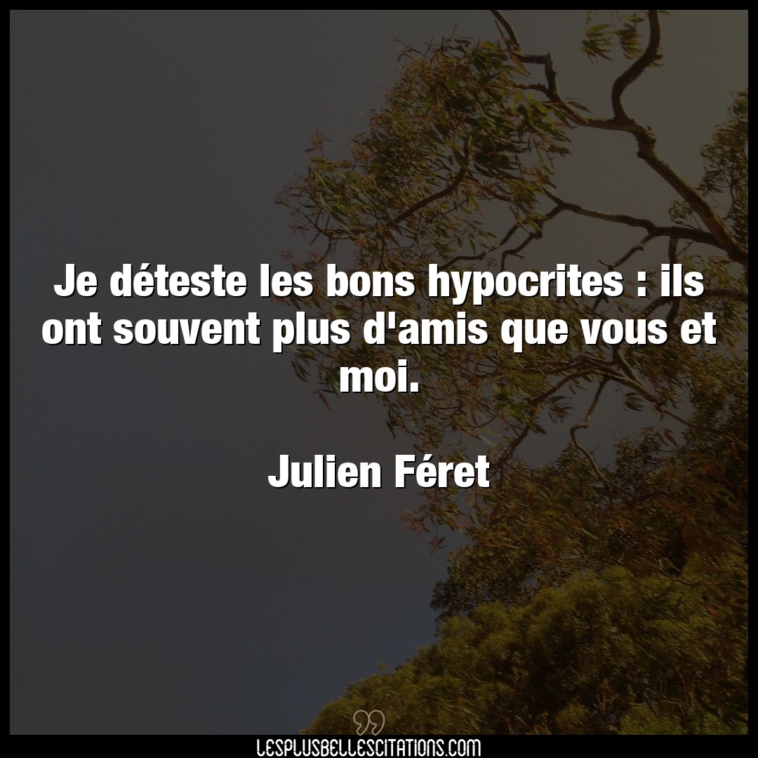 Citation Julien Feret Amis Je Deteste Les Bons Hypocrites Ils Ont Sou