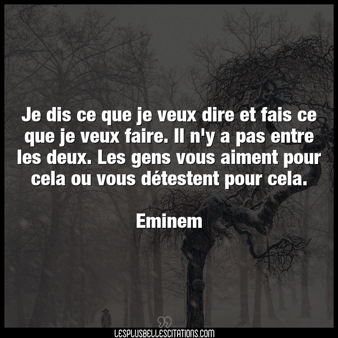 Citation Eminem Dire Je Dis Ce Que Je Veux Dire Et Fais Ce Que Je