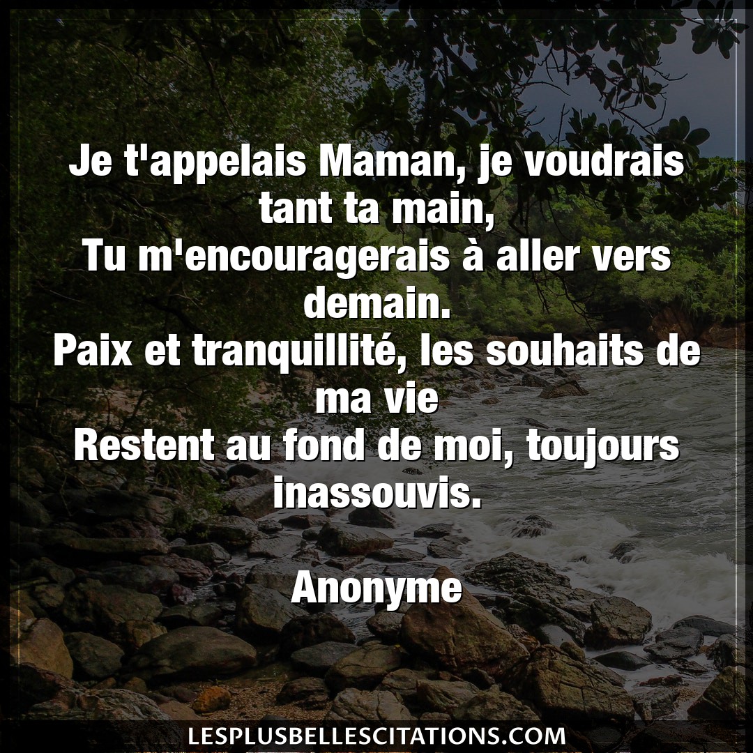 Citation Anonyme Demain Je T Appelais Maman Je Voudrais Tant Ta Main