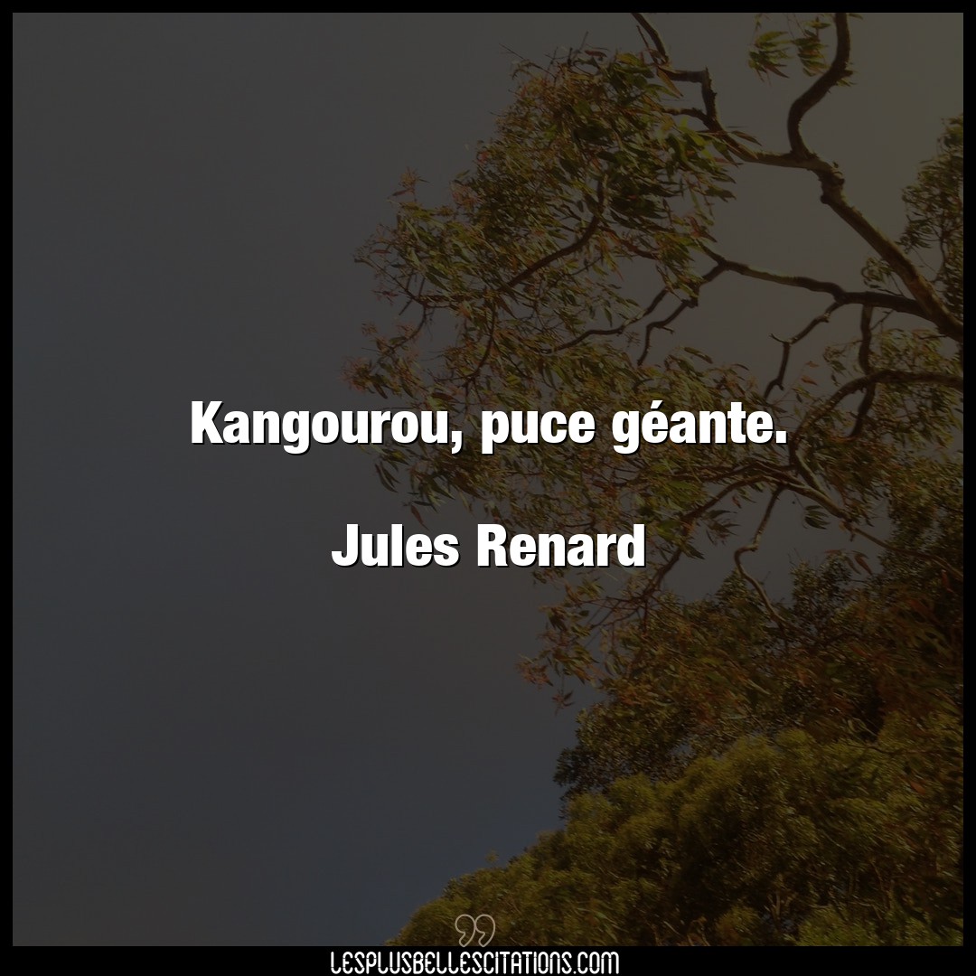 Kangourou, puce géante.

Jules Renard