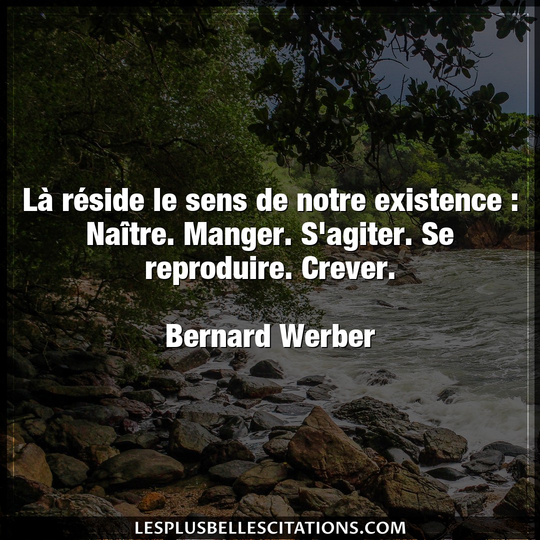 Citation Bernard Werber Existence La Reside Le Sens De Notre Existence Nai