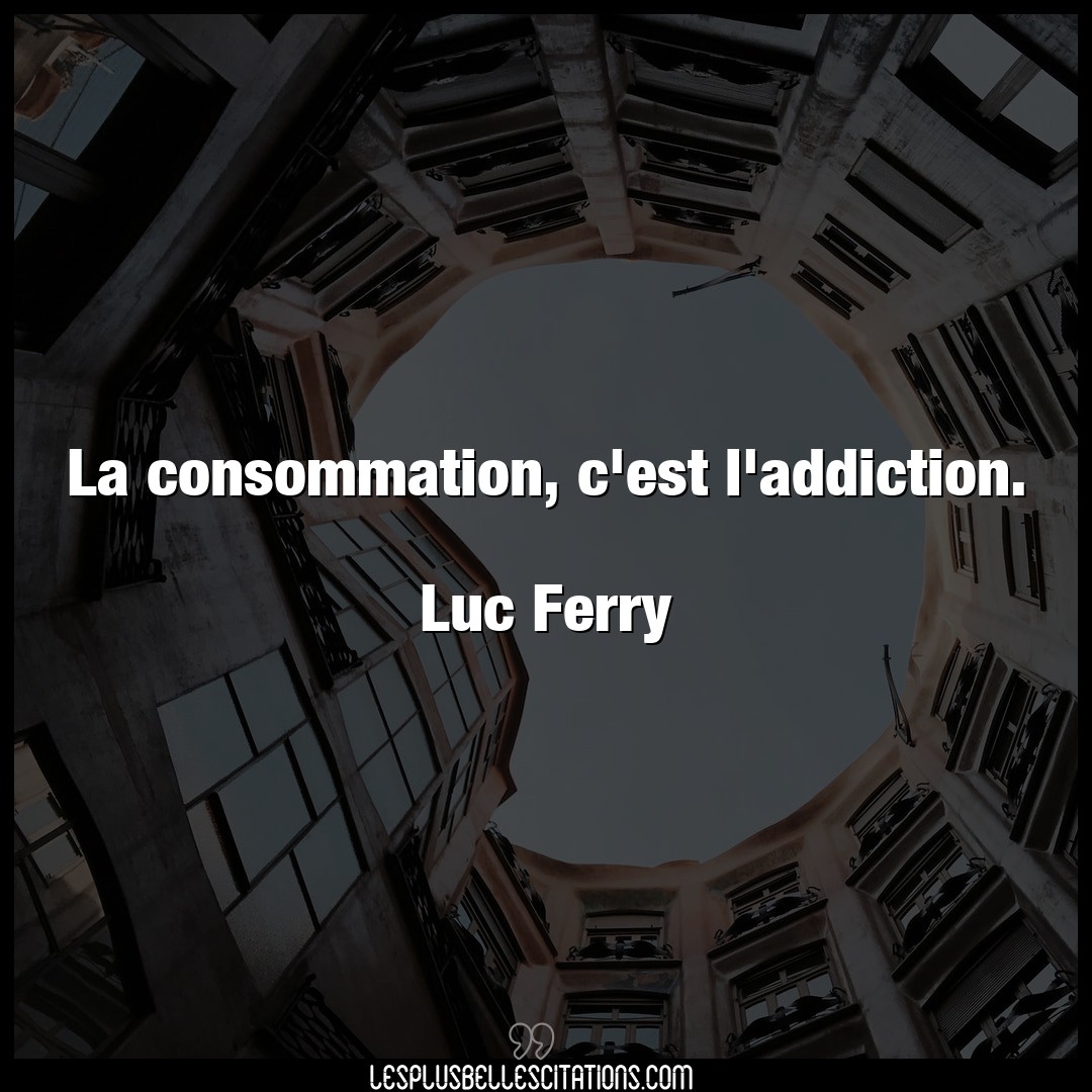 La consommation, c’est l’addiction.

Luc Fe