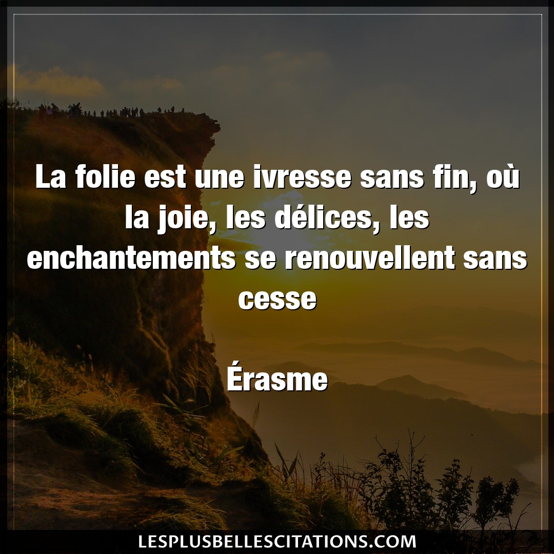 Citation Erasme Cesse La Folie Est Une Ivresse Sans Fin Ou La Joi