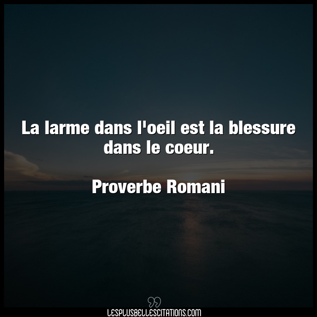 Citation Proverbe Romani Blessure La Larme Dans L Oeil Est La Blessure Dans Le