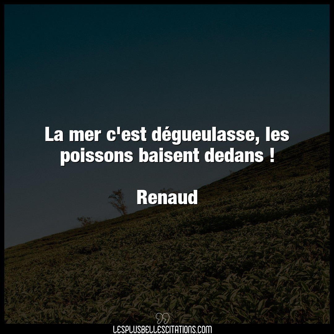 Citation Renaud Mer La Mer C Est Degueulasse Les Poissons Baise