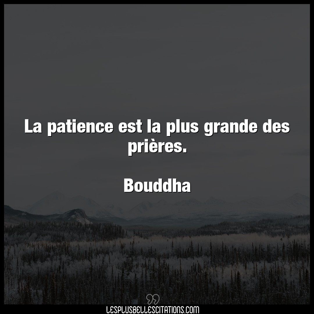 La patience est la plus grande des prières.