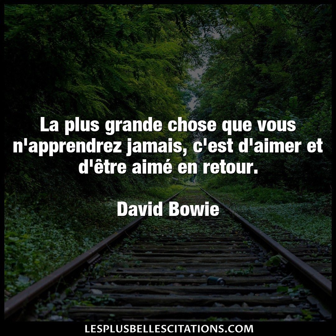 Citation David Bowie Aimer La Plus Grande Chose Que Vous N Apprendrez Ja