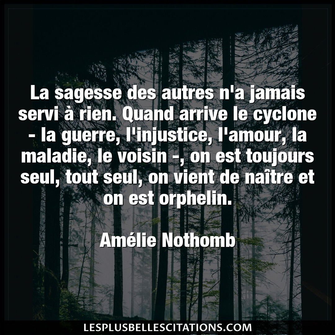 Citation Amelie Nothomb Amour La Sagesse Des Autres N A Jamais Servi A Rie