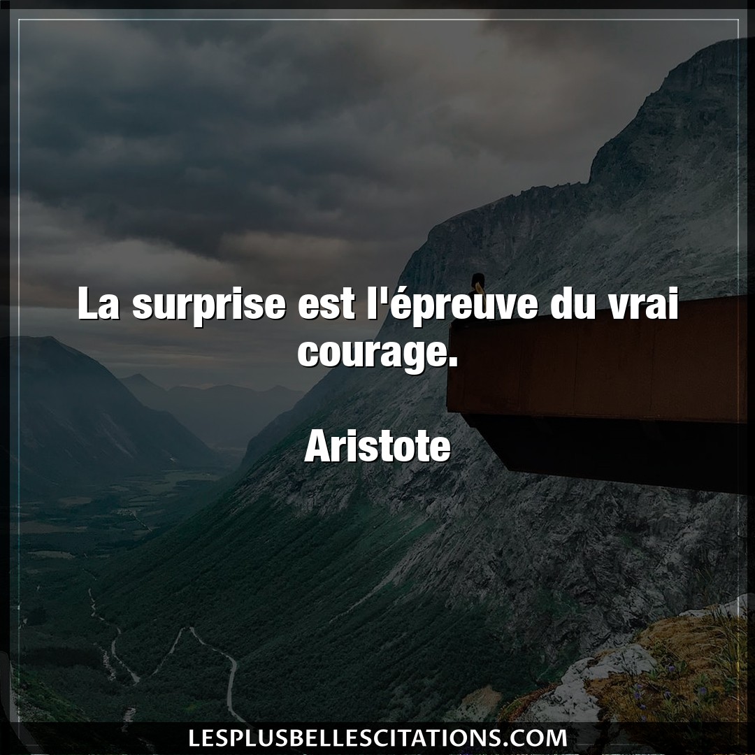 La surprise est l’épreuve du vrai courage.