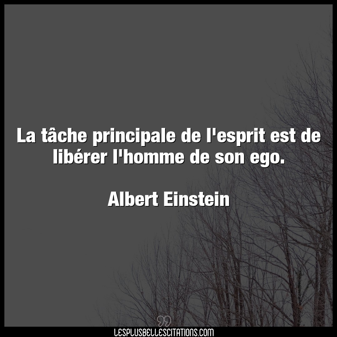 Citation Albert Einstein Ego La Tache Principale De L Esprit Est De Libe