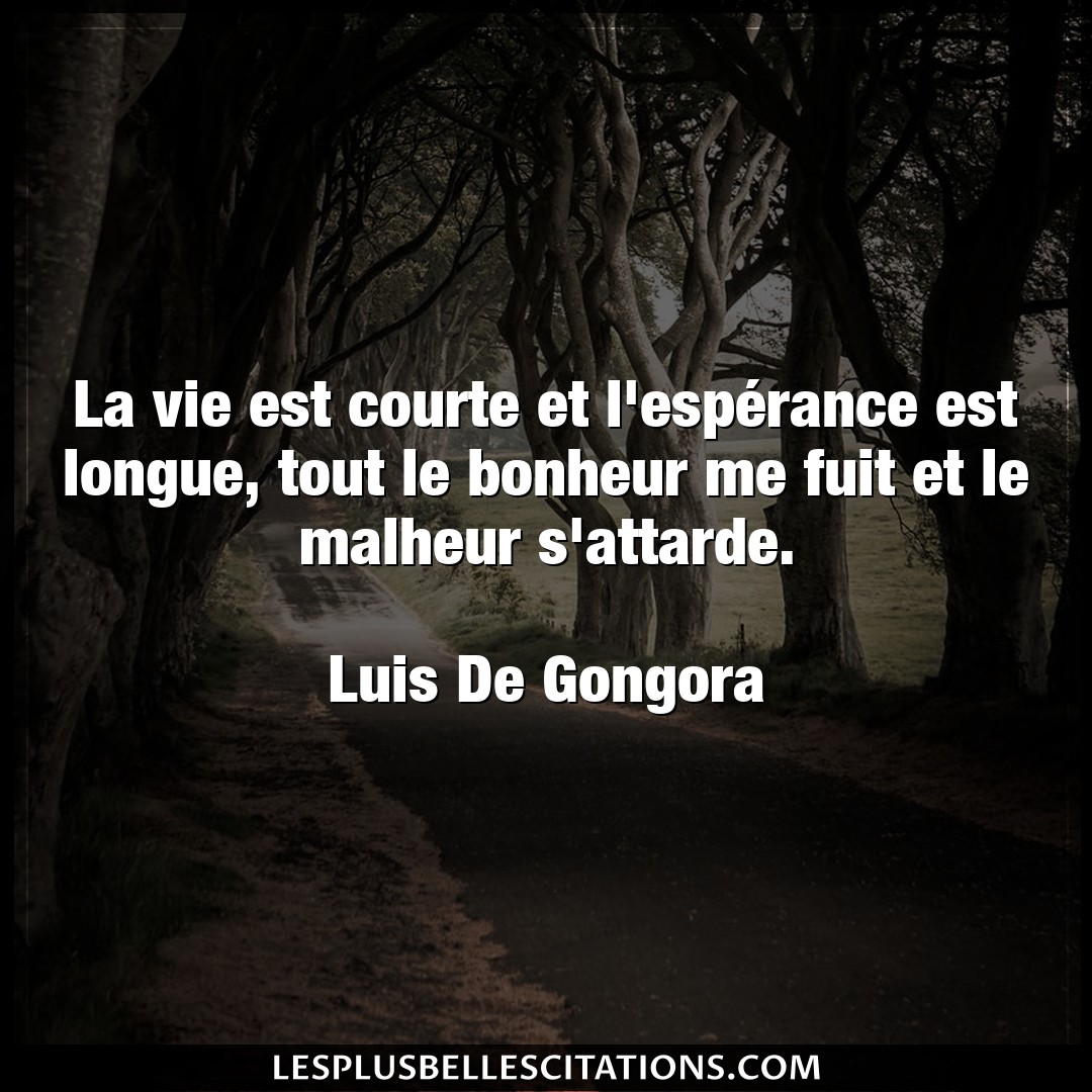 Citation Luis De Gongora Bonheur La Vie Est Courte Et L Esperance Est Longue