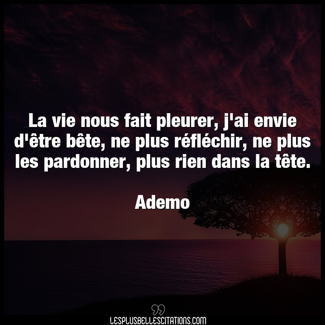 Citation Ademo Envie La Vie Nous Fait Pleurer J Ai Envie D Etre