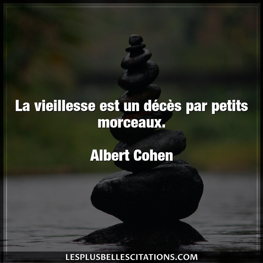 Citation Albert Cohen Deces La Vieillesse Est Un Deces Par Petits Morce