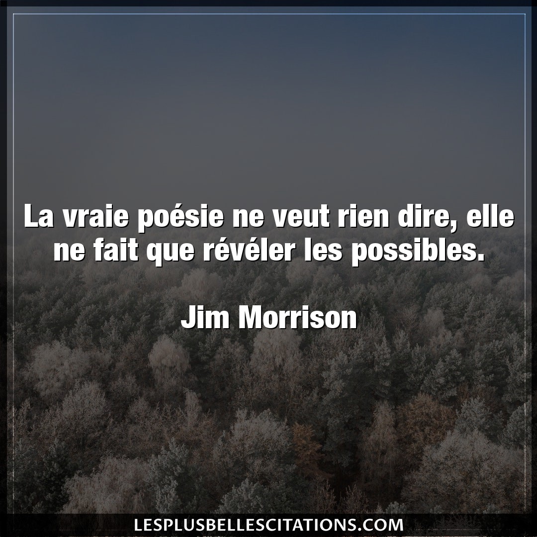 Citation Jim Morrison Dire La Vraie Poesie Ne Veut Rien Dire Elle Ne F