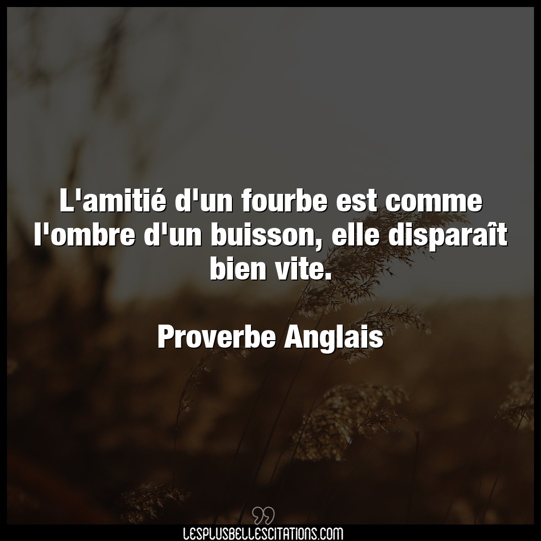 Citation Proverbe Anglais Anglais L Amitie D Un Fourbe Est Comm