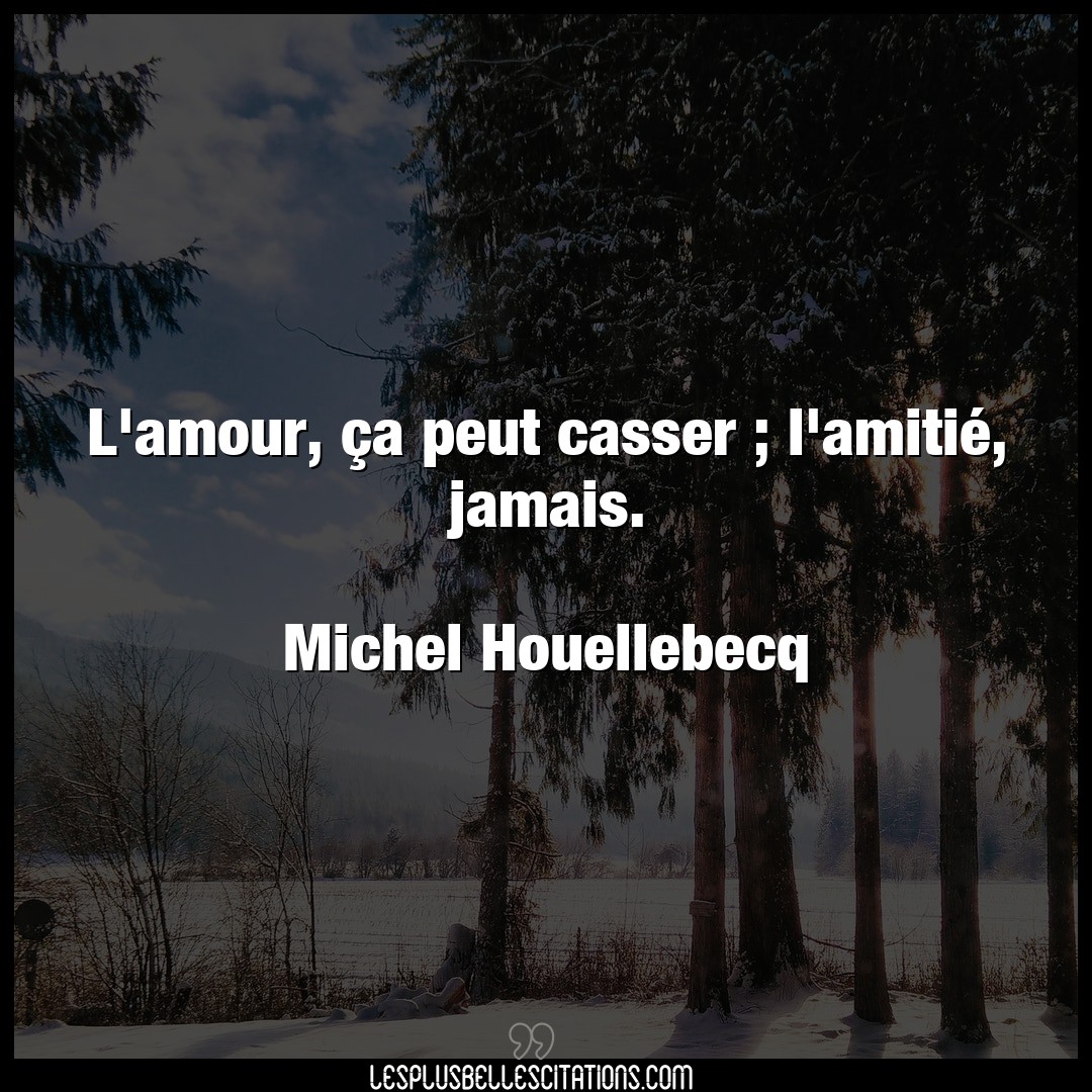 Citation Michel Houellebecq Amour L Amour Ca Peut Casser L Amitie Jamais