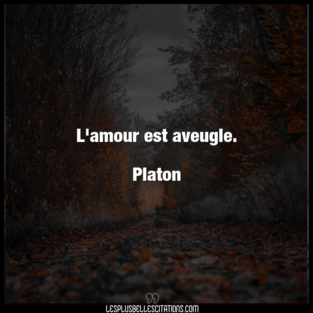 L’amour est aveugle.

Platon