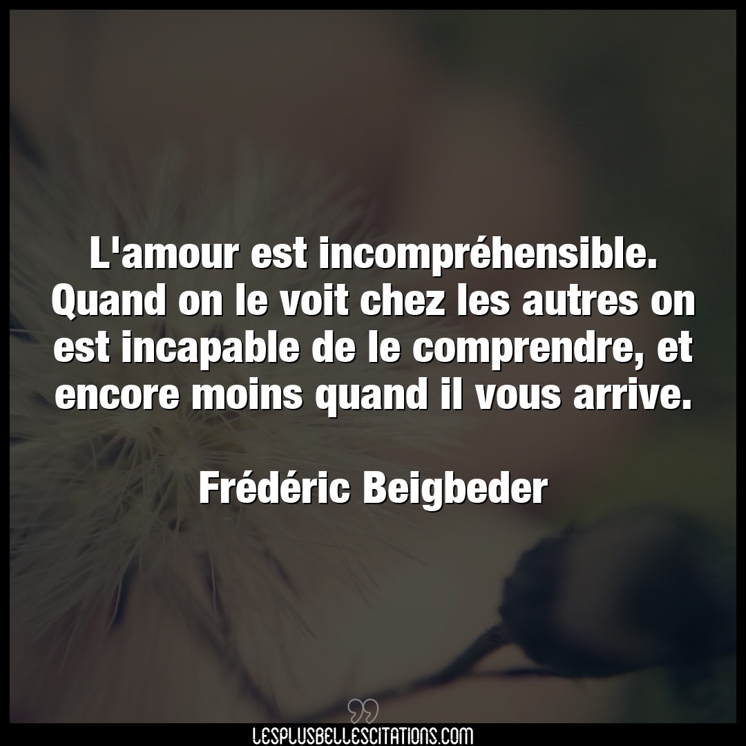 Citation Frederic Beigbeder Amour L Amour Est Incomprehensible Quand On Le Vo