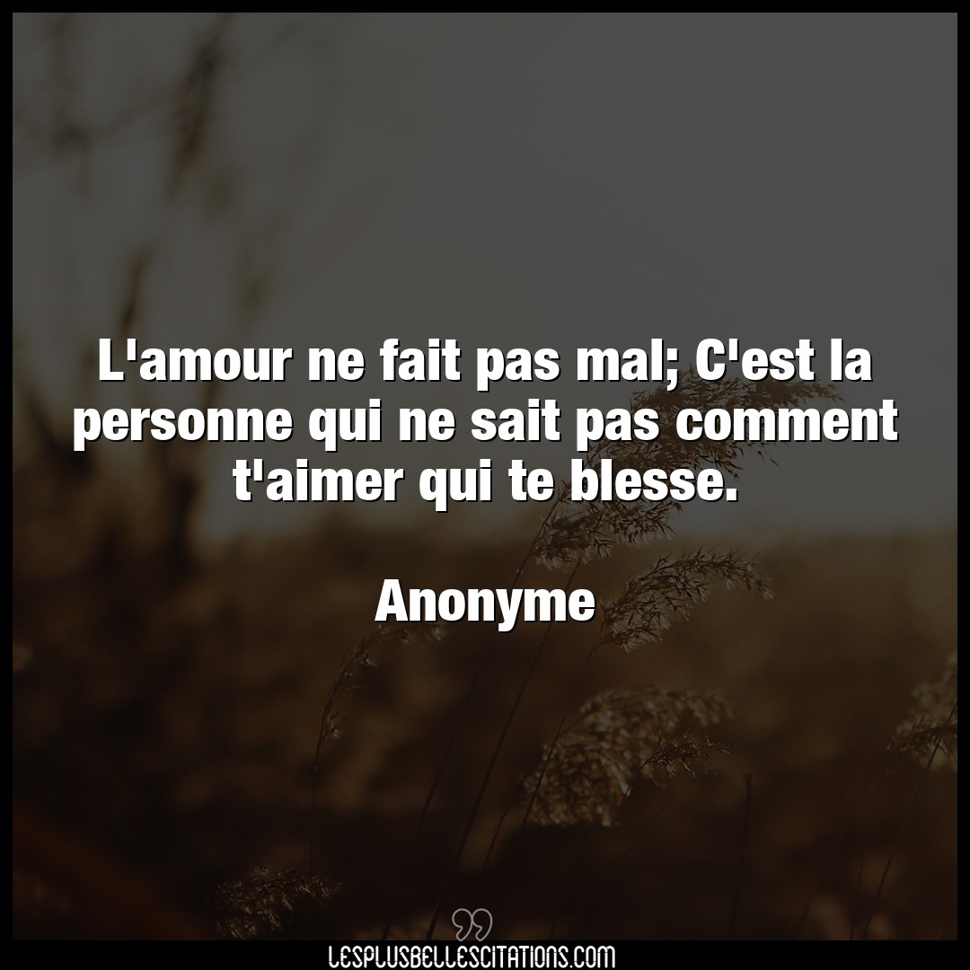 Citation Anonyme Aimer L Amour Ne Fait Pas Mal C Est La Personne Qu