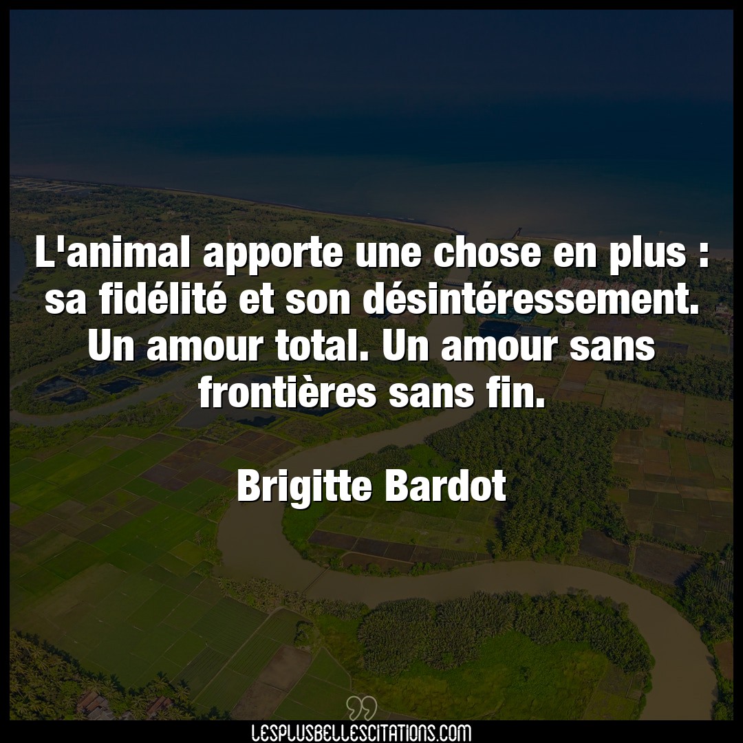 Citation Brigitte Bardot Amour L Animal Apporte Une Chose En Plus Sa Fide