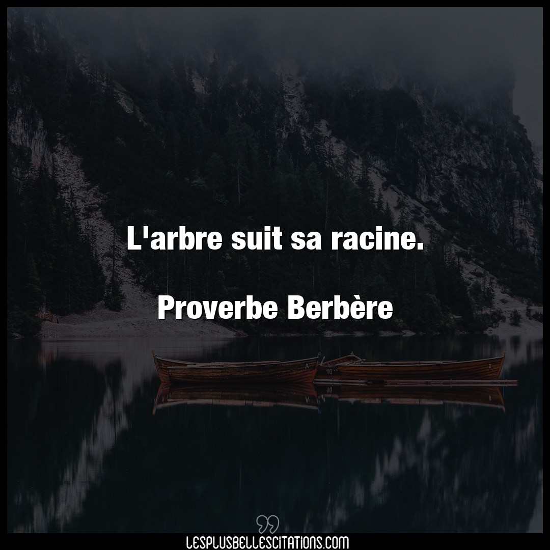 Citation Proverbe Berbere Arbre L Arbre Suit Sa Racine Pro