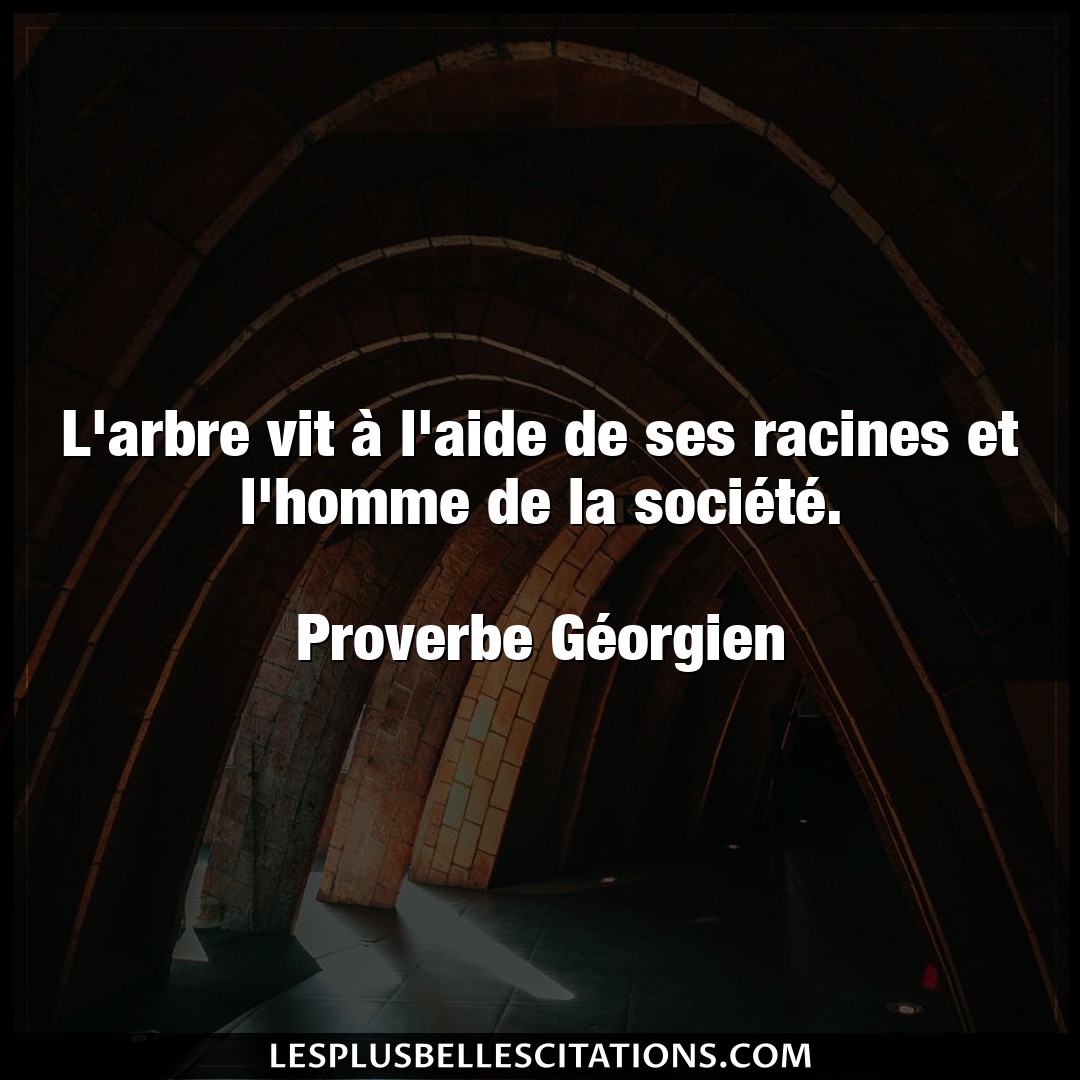 Citation Proverbe Georgien Aide L Arbre Vit A L Aide De Ses R