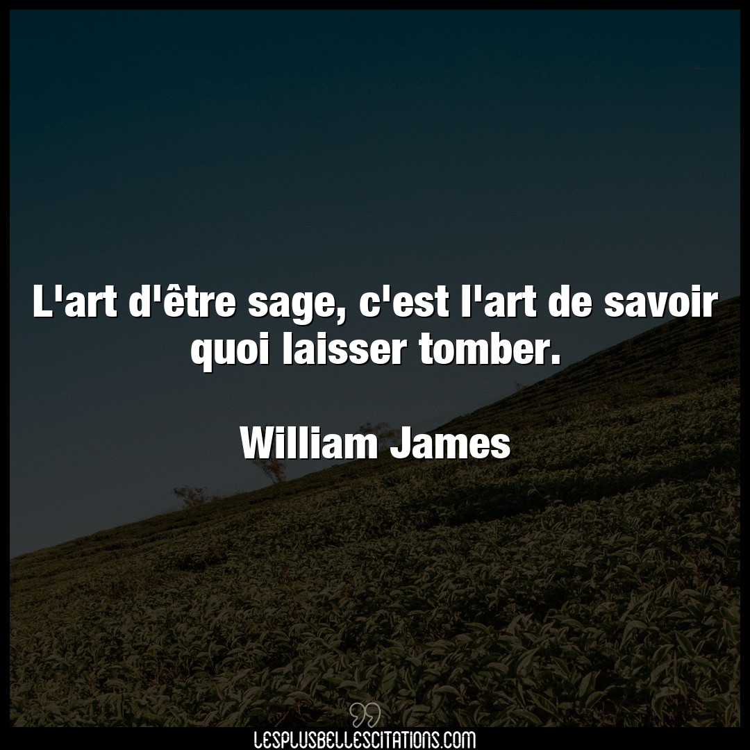 Citation William James Art L Art D Etre Sage C Est L Art De Savoir Quo