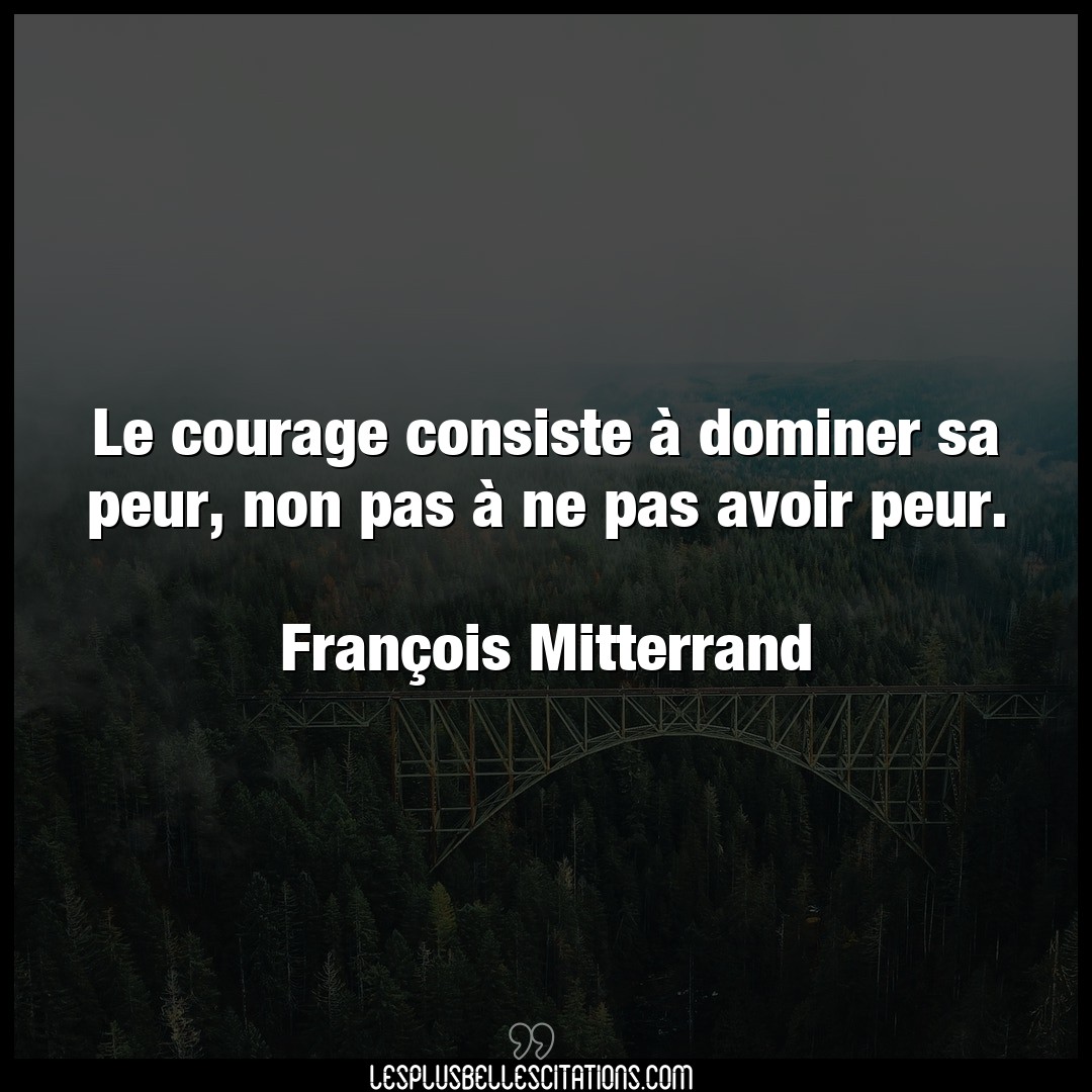 Le courage consiste à dominer sa peur, non p