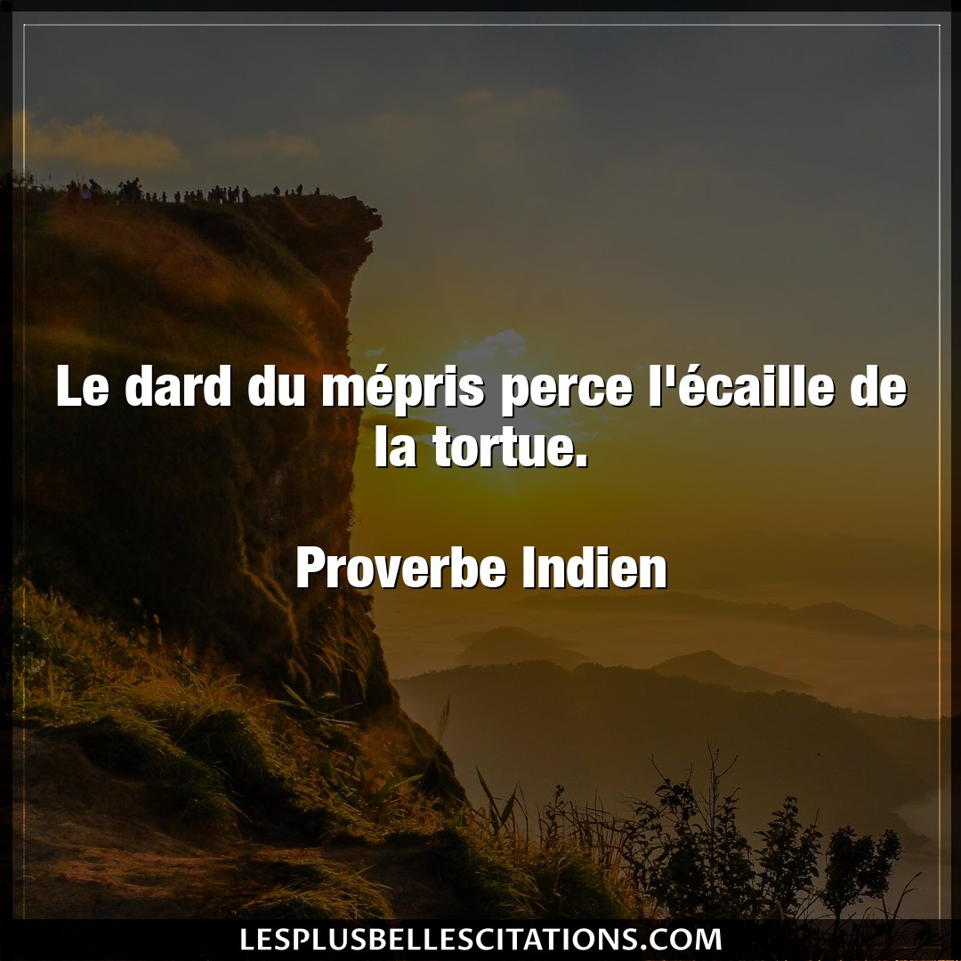 Citation Proverbe Indien Mepris Le Dard Du Mepris Perce L Ec