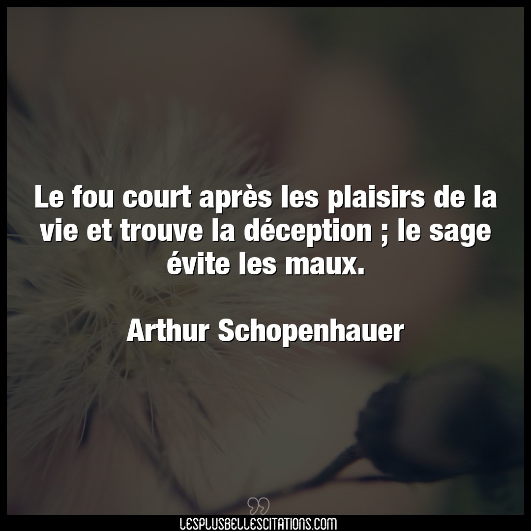 Citation Arthur Schopenhauer Court Le Fou Court Apres Les Plaisirs De La Vie Et