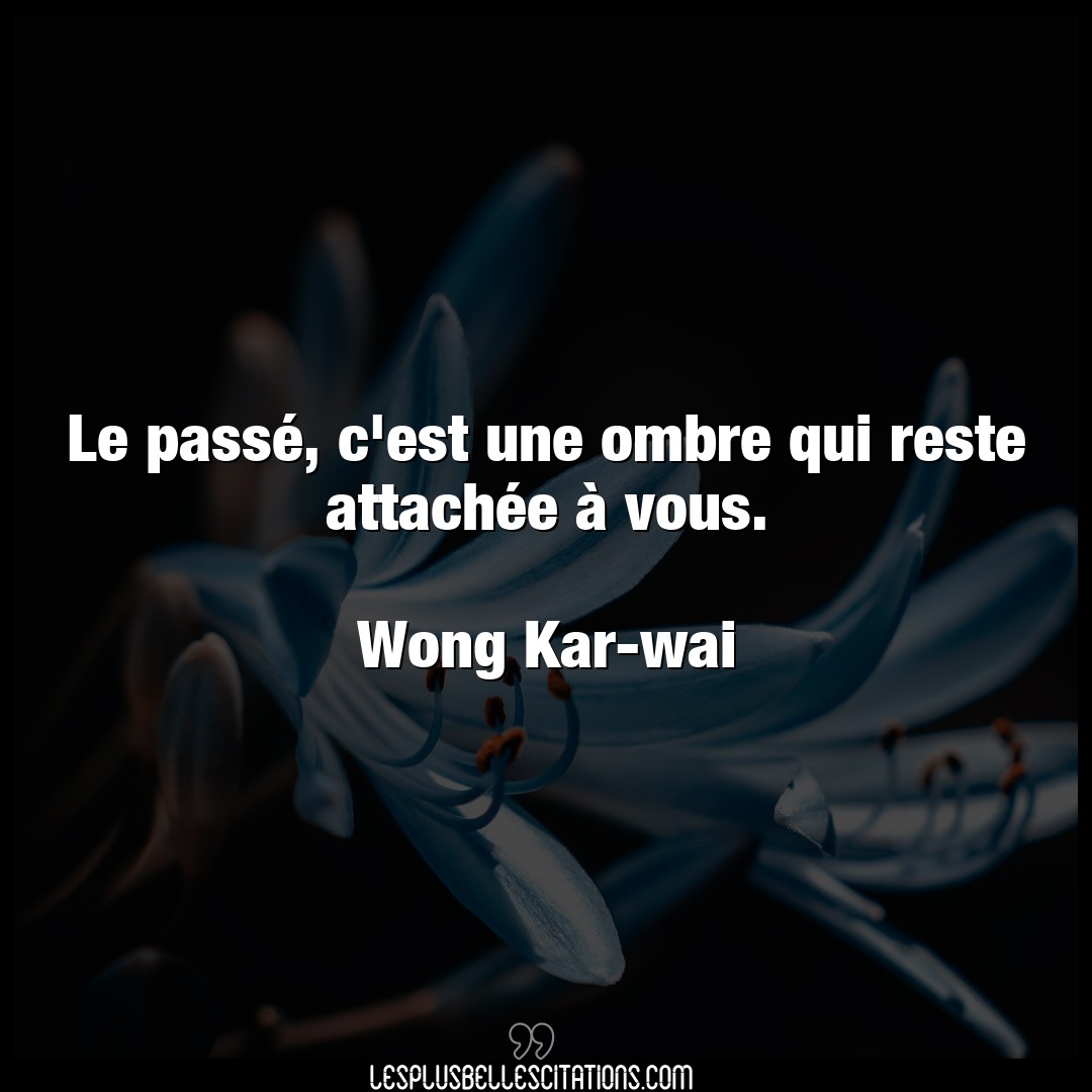 Citation Wong Kar Wai Ombre Le Passe C Est Une Ombre Qui Reste Attache