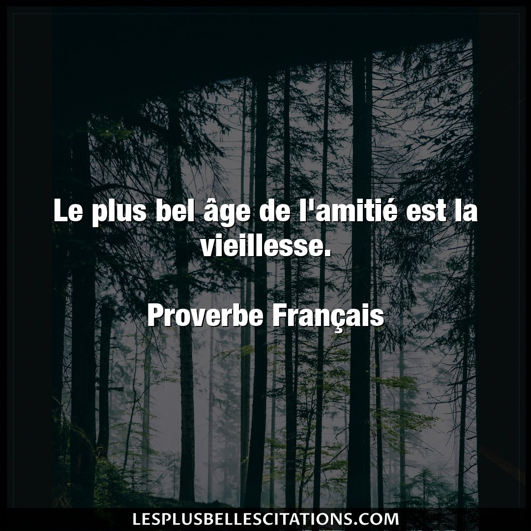 Citation Proverbe Francais Francais Le Plus Bel Age De L Amitie