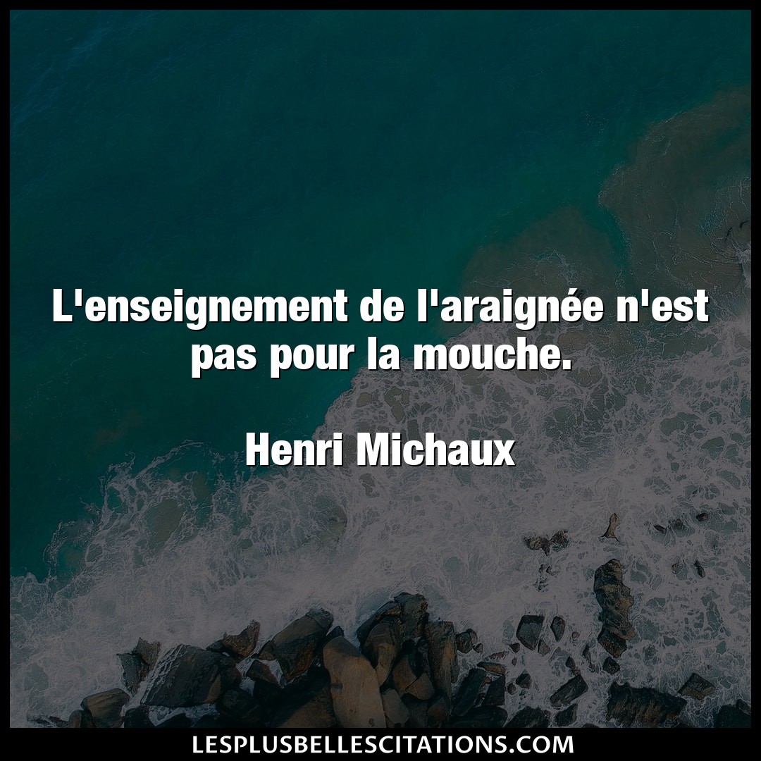 Citation Henri Michaux Enseignement L Enseignement De L Araignee N Est Pas Pour