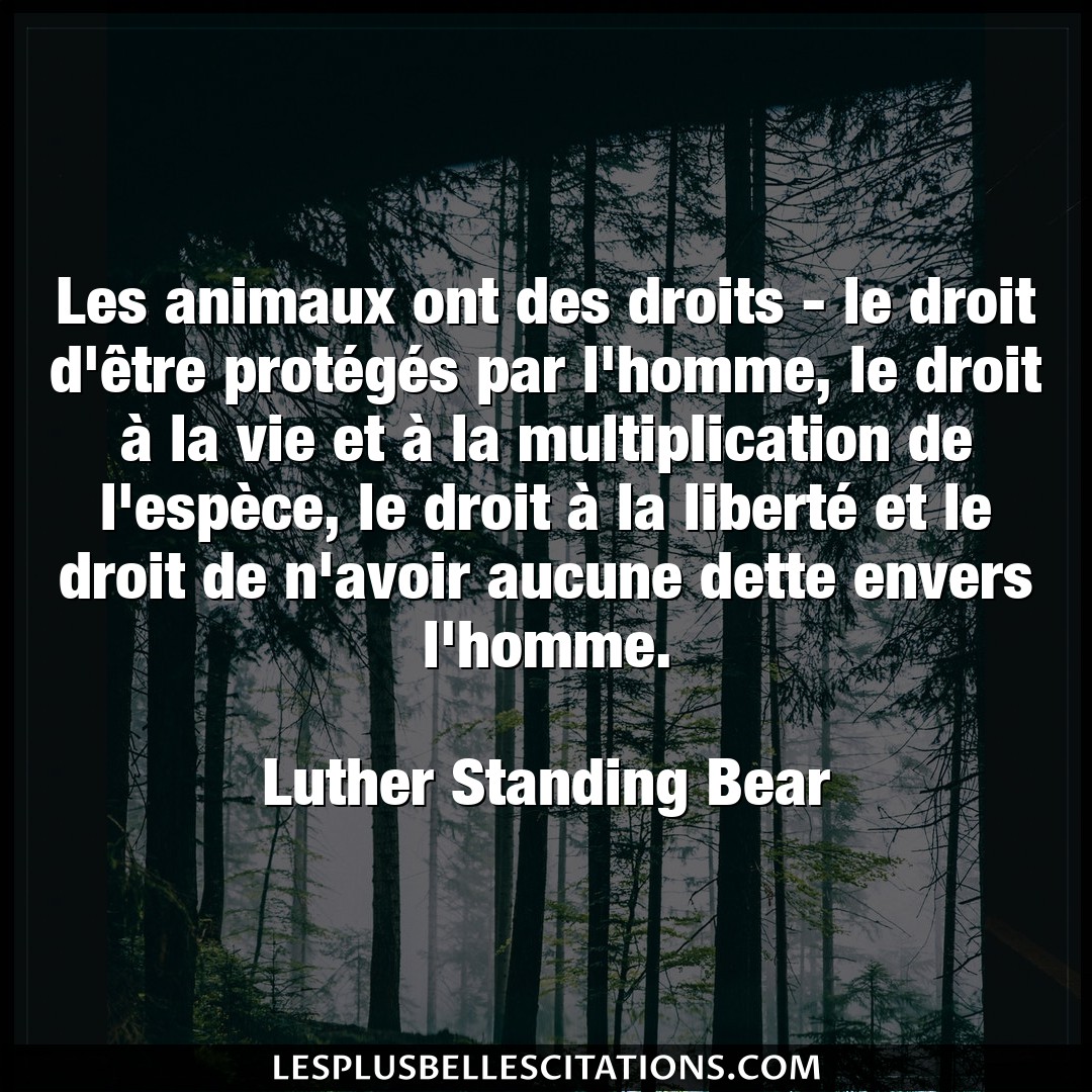 Citation Luther Standing Bear Animaux Les Animaux Ont Des Droits Le Droit D Etre