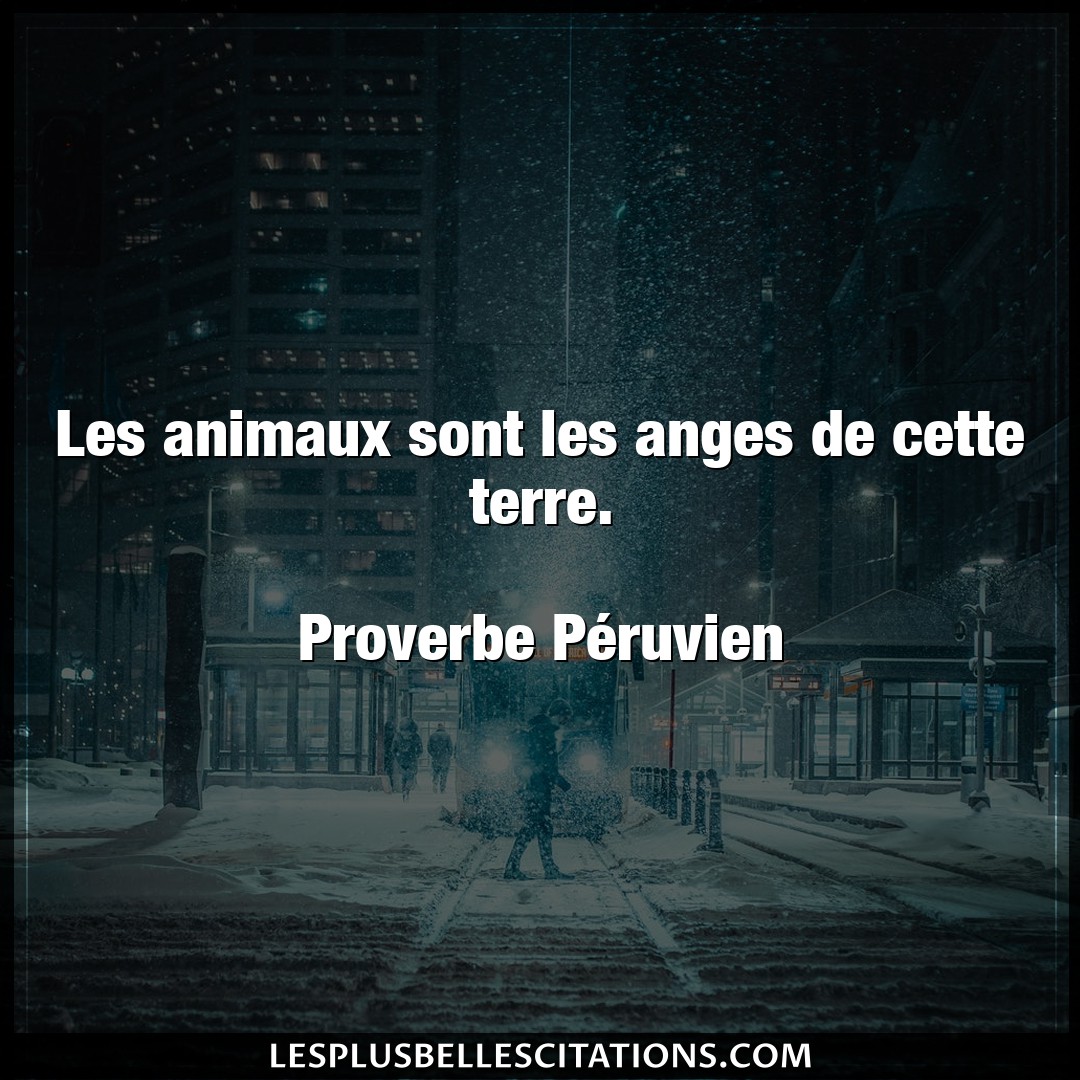 Citation Proverbe Peruvien Anges Les Animaux Sont Les Anges De