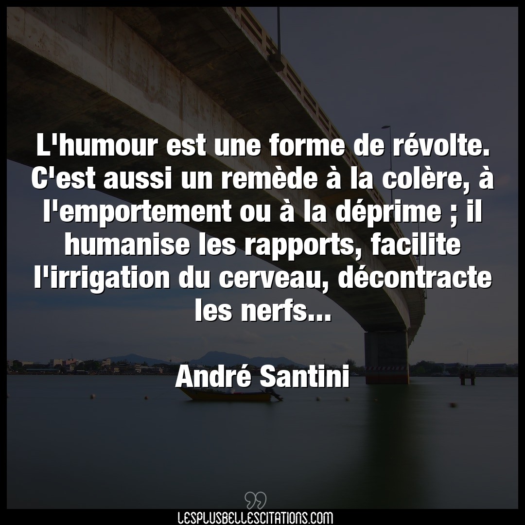 Citation Andre Santini Cerveau L Humour Est Une Forme De Revolte C Est Aus